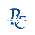 Bano consulting